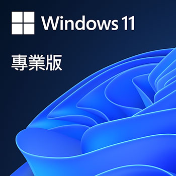 Windows 11 Professional 中文專業隨機版